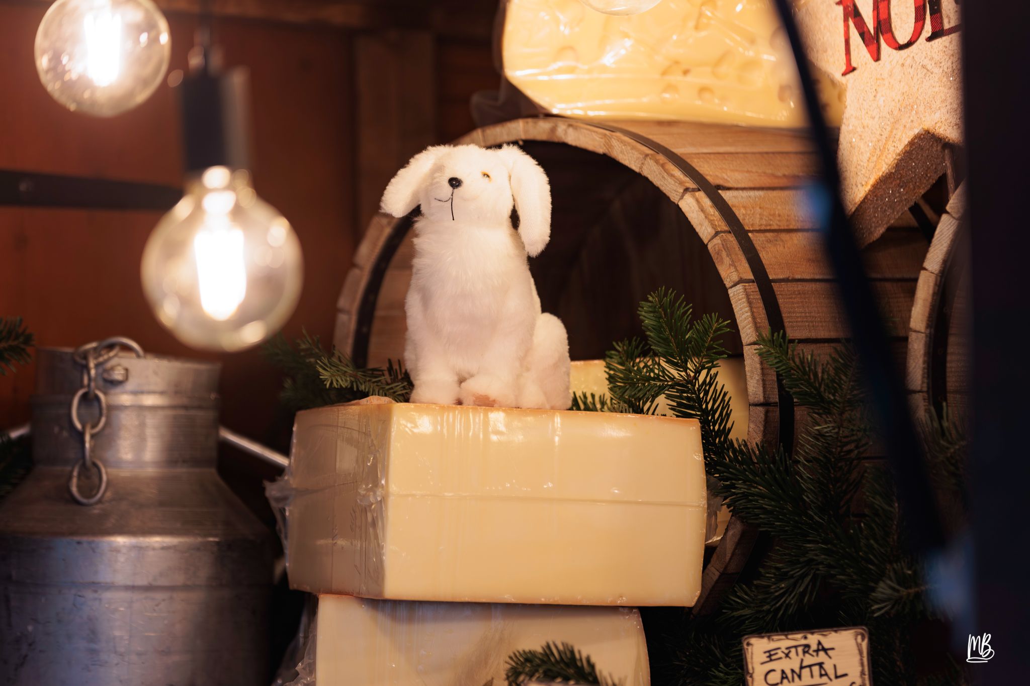 20241129 Noël à Haguenau MB (18 sur 114)